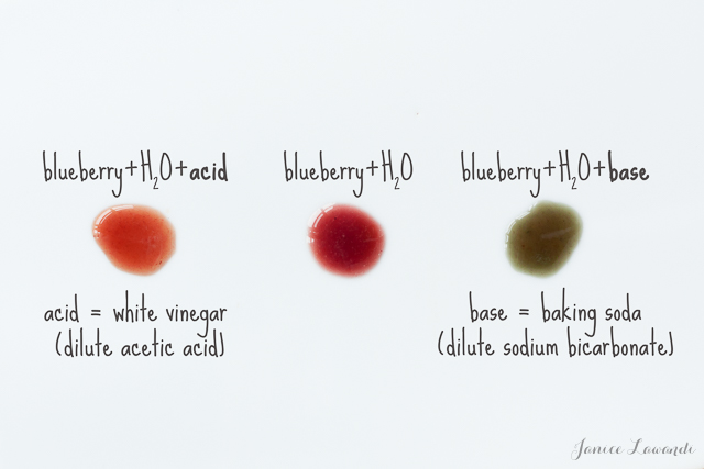 Effect of pH on blueberry color | Jance Lawandi @ kitchen heals soul