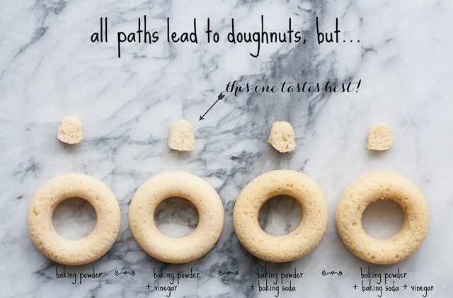 doughnut experiment