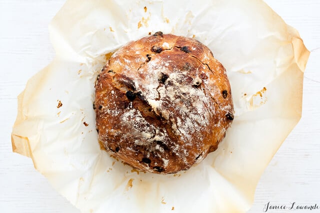 homemade crusty raisin bread the baked bread - cinnamon raisin no knead bread loaf on crumpled parchment paper